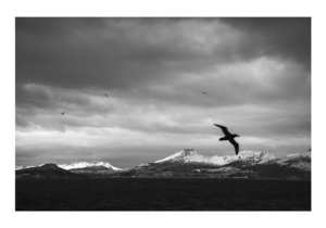 Las mensajeras de Cabo de Hornos