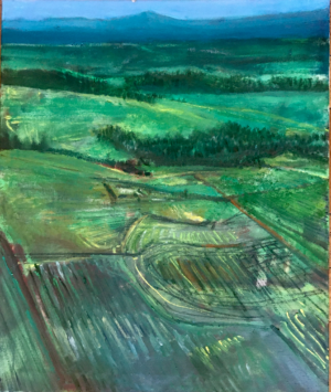 El bosque está lejos